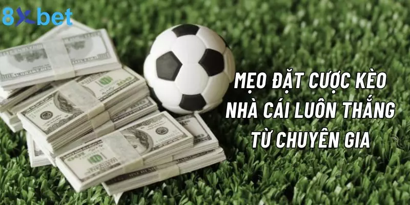 Kèo Nhà Cái Là Gì? 8xbet Bật Mí Các Loại Kèo Phổ Biến Nhất 5 8xbet chia sẻ mẹo phân tích tỷ lệ kèo nhà cái luôn thắng từ chuyên gia