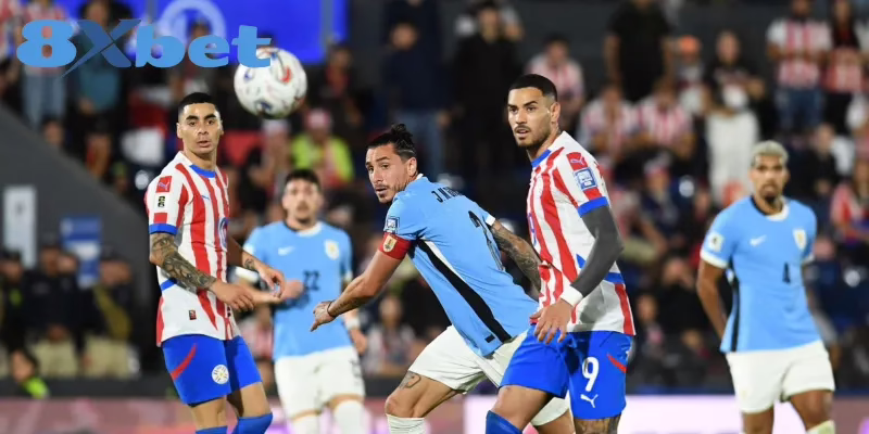 8XBET Hợp Tác Tài Trợ Với Những Câu Lạc Bộ Thể Thao Nào? 4 8XBET đồng hành cùng nhiều giải đấu quốc tế